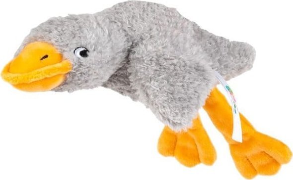 Sensoryczna gęś szara