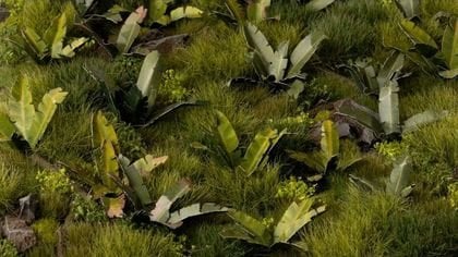 Gamers Grass Gamers Grass: Laser Plants - Banana Tree - Drzewo bananowe