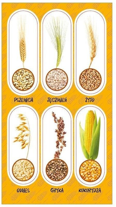 Naklejki Zboża