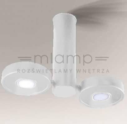 Zdjęcia - Żyrandol / lampa Tuba Lampa sufitowa Shilo Spot LAMPA sufitowa NATORI IL 7280 Shilo regulowana O 