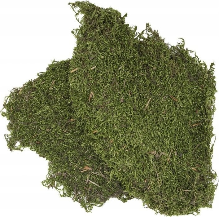 Terra Natura Podłoże do terrarium mech 100g (kraj pochodzenia Turkey)