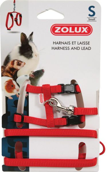 Zolux Szelki i smycz dla szczura S kol. czerwony