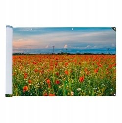 Maximex Osłona balkonowa odporna na UV, 500 x 85 cm
