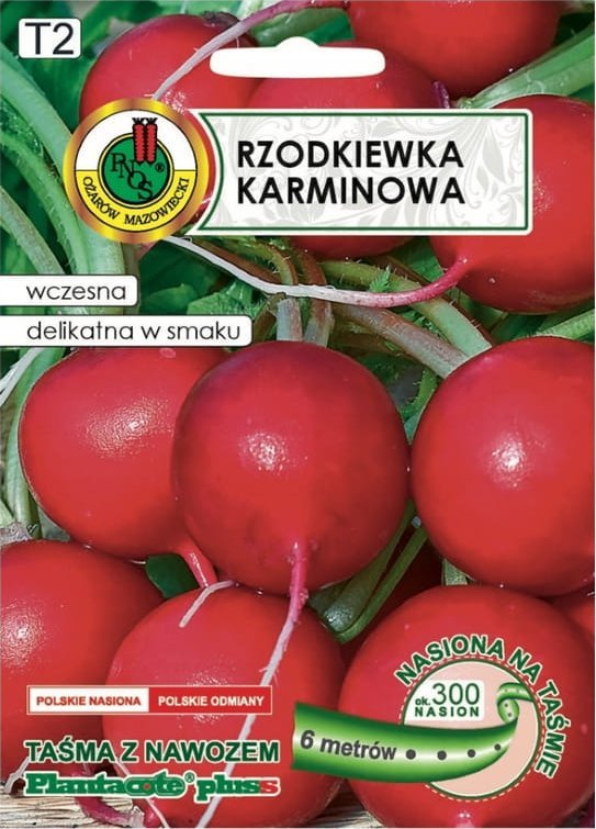 Rzodkiewka Karminowa taśma 6m Plenność, smak