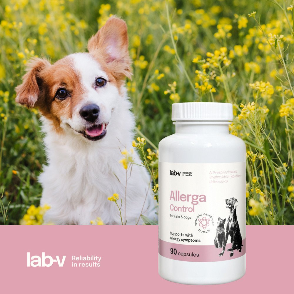 LAB V LAB-V Allerga Control Wsparcie przy objawach alergii 90 kapsułek