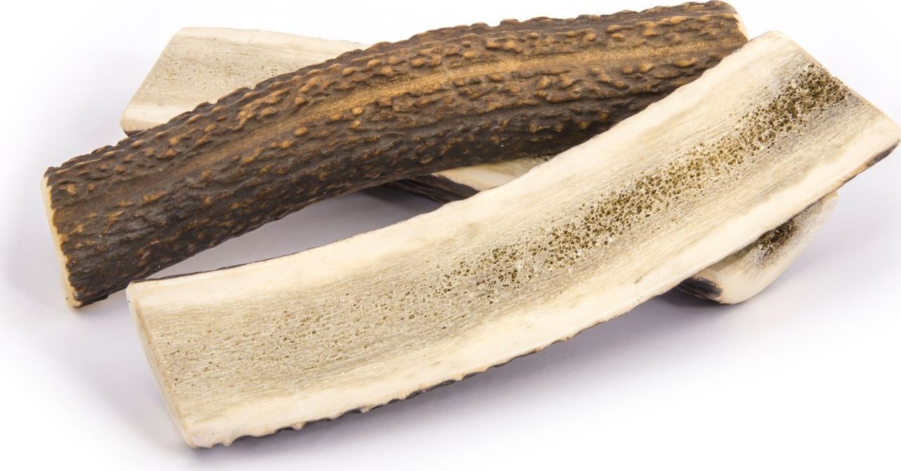 4DOGS GRYZAK XL (EASY)