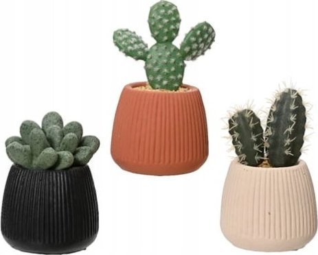 Kaemingk Kaktus w doniczce roślina ozdobna 1 szt 14x8,5 cm