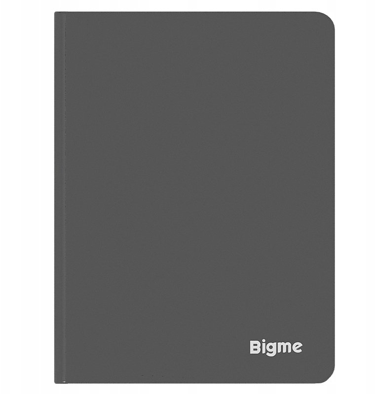 Pokrowiec Bigme B6 etui szare (5904463687028)