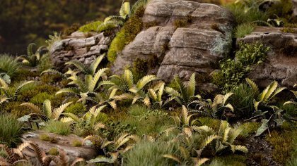 Gamers Grass Gamers Grass: Laser Plants - Deer Fern - Podrzeń żebrowiec
