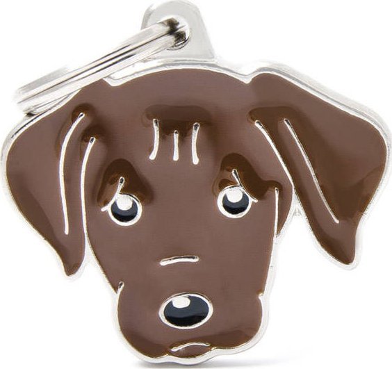 Zawieszka Adresówka Identyfikator z grawerem dla psa Labrador chocolate