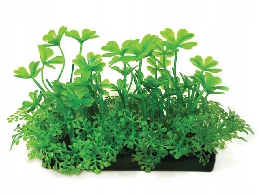 Terra Natura Aqua Natura, roślina do dekoracji akwarium, zielona, plastikowa, 10 cm, koniczyna