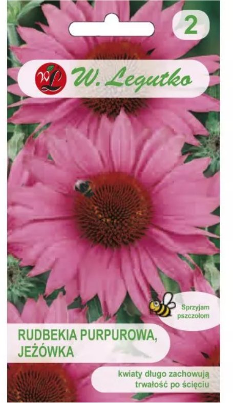 Legutko Rudbekia purpurowa Jeżówka - różowa