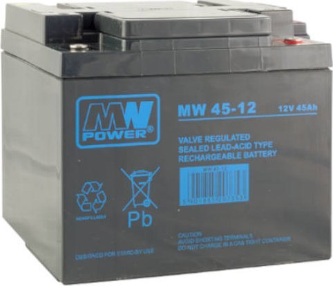 akumulator AGM 12V/45Ah, 198*166*171 (T16)