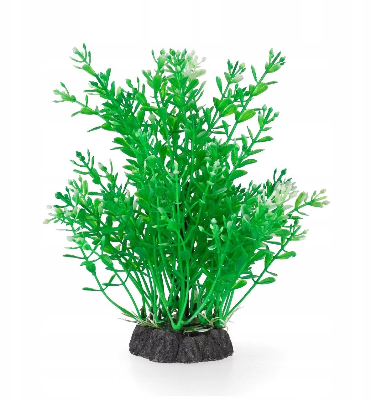 Aqua Natura, roślina, do dekoracji akwarium, zielona , plastikowa, 20 cm , drobnolistna