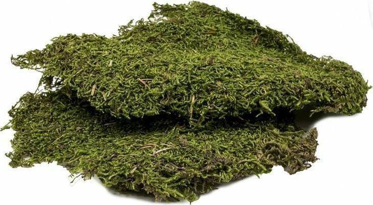 Tn-44037 Podłoże Do Terrarium Mech 50g