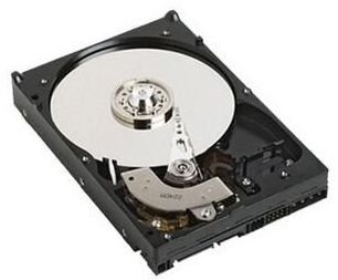 Dysk Dell Twardy 500 GB 7200 RPM 3.5" SATA III (2PKVY)