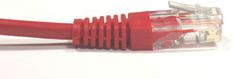 Zdjęcia - Kabel NETRACK patch cord cat.5e RJ45 1,5m czerwony  (BZPAT1P5UR)