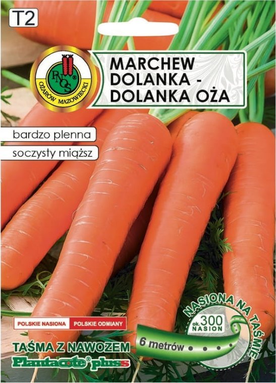 Marchew Dolanka 6m taśmy z nawozem Platnacote odmiana późna