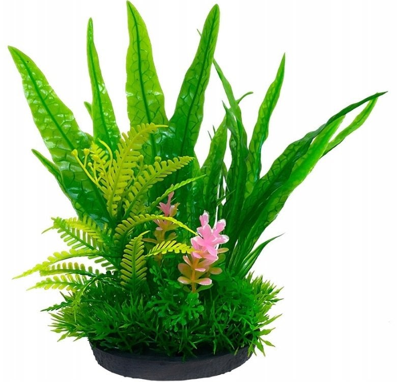 Aqua Natura, roślina, do dekoracji akwarium, zielona, plastikowa, 18 cm , paproć i wodororost leśny z różowym akcentem