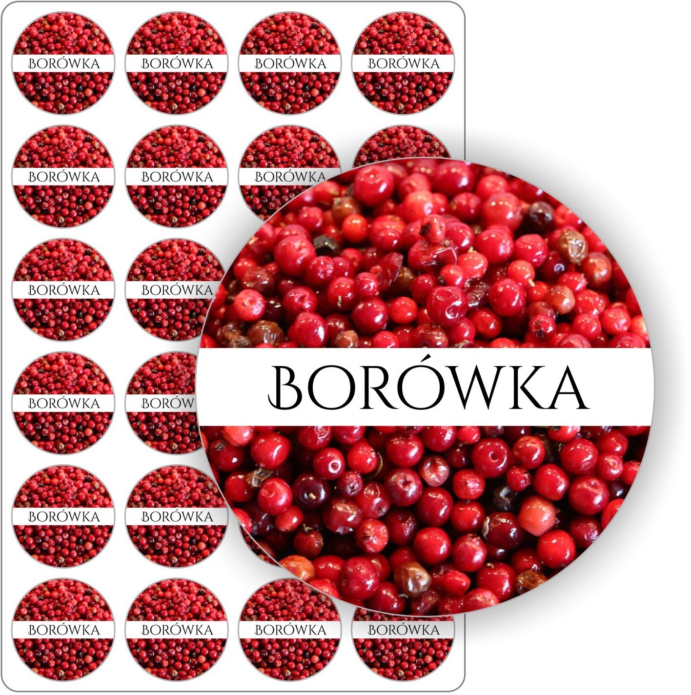 Stabilus naklejki etykietki nalepki borówkowe samoprzylepne kolorowe BORÓWKA słoiki dżem przetwory 24szt. (E-OWO_BOR_C5)