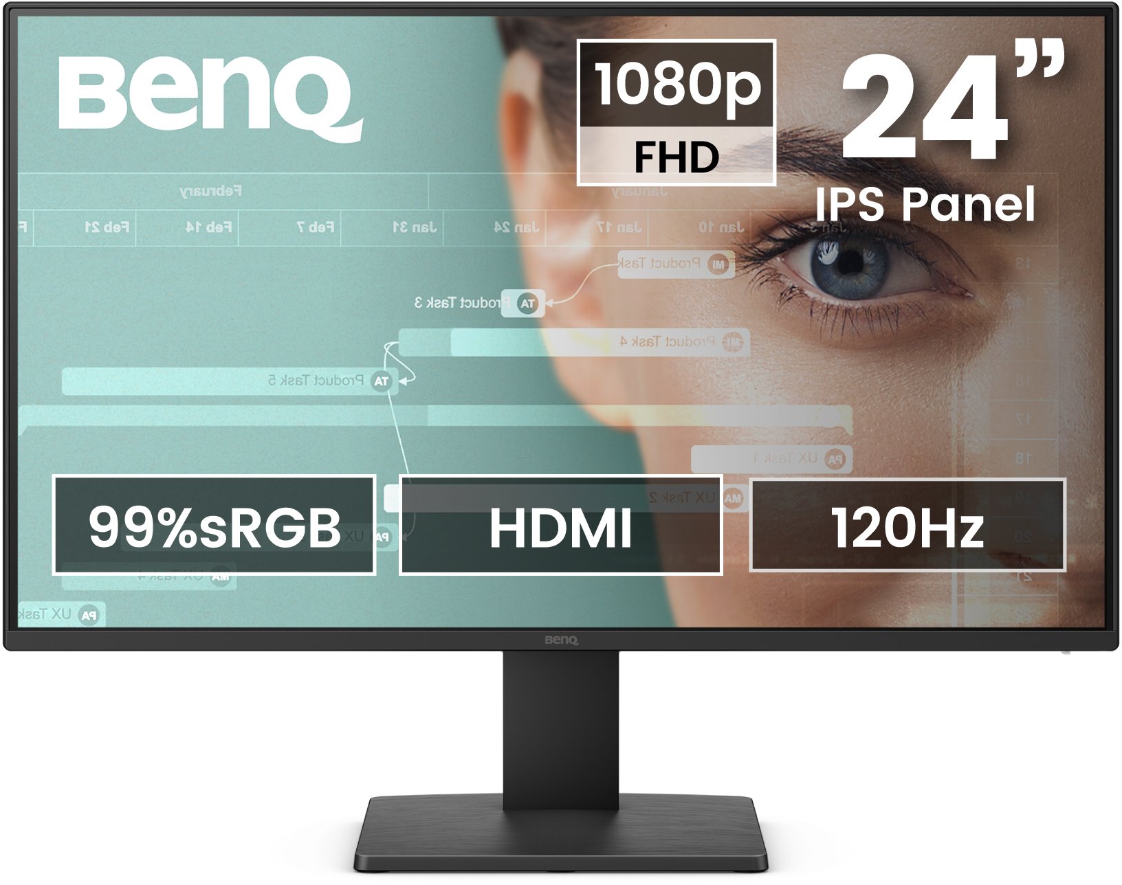 BenQ GW2491P