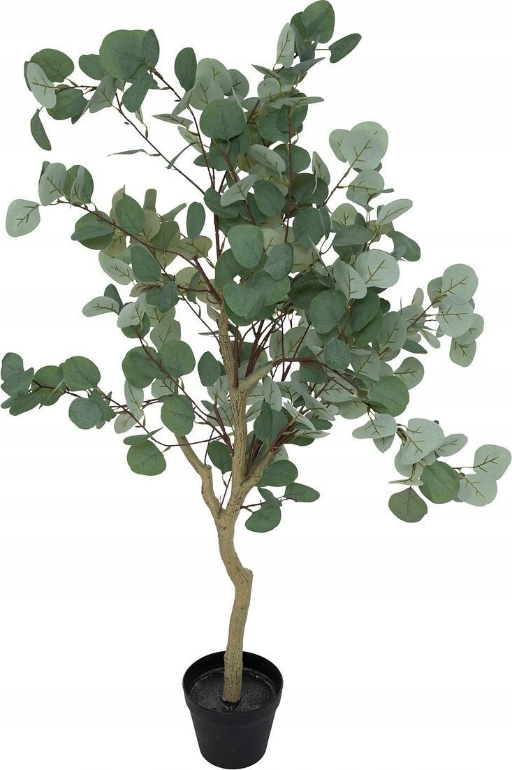 Atmosphera Sztuczna roślina eukaliptus, 127 cm
