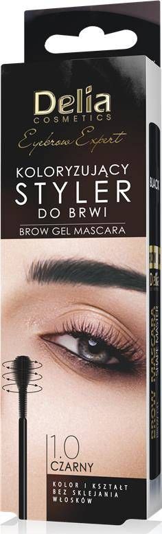 Delia Cosmetics Eyebrow Expert Koloryzujący Styler do brwi 1.0 czarny 11ml