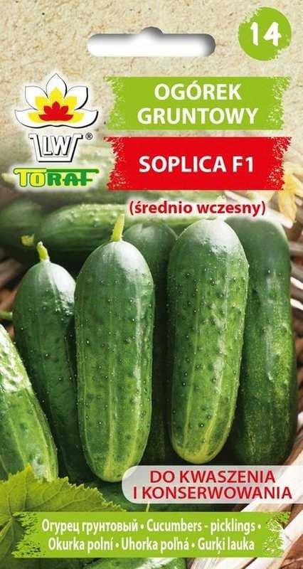 Toraf Nasiona warzyw | Ogórek Soplica F1 | Opakowanie 5g