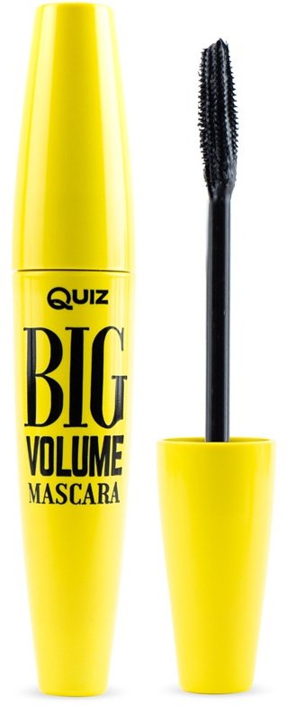 Quiz Cosmetics Big Volume Mascara zwiększający objętość tusz do rzęs 8g