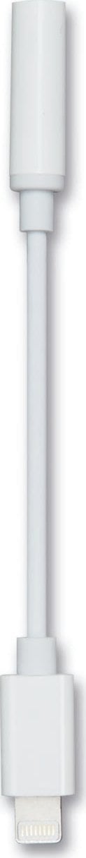 2GO Audio-Adapter Stereo Lightning 20cm biały