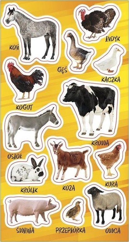 Ranok Naklejki Zwierzęta domowe