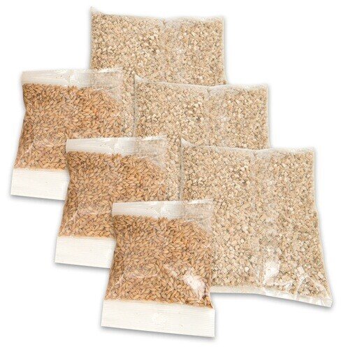 Catit Ziarna trawy do uzupełnienia Grass Planer CH-1610/43161W