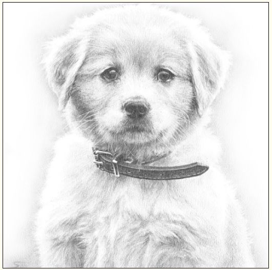 DA VINCI Karnet Pies Szkic 16x16 Cm + Koperta