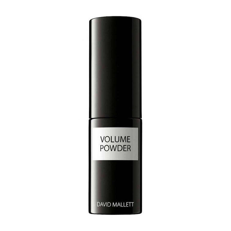 David Mallett Volume Powder Suche szampony