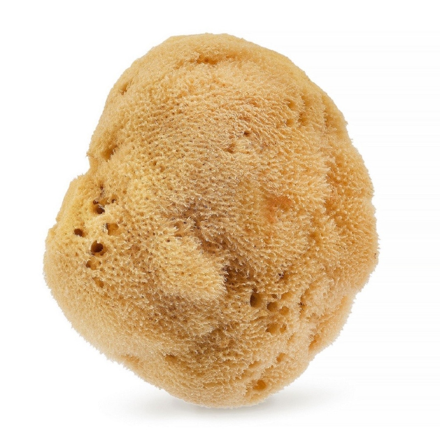 HHUUMM Naturalna gąbka 01F (brązowa) 12,5 cm HHUUMM