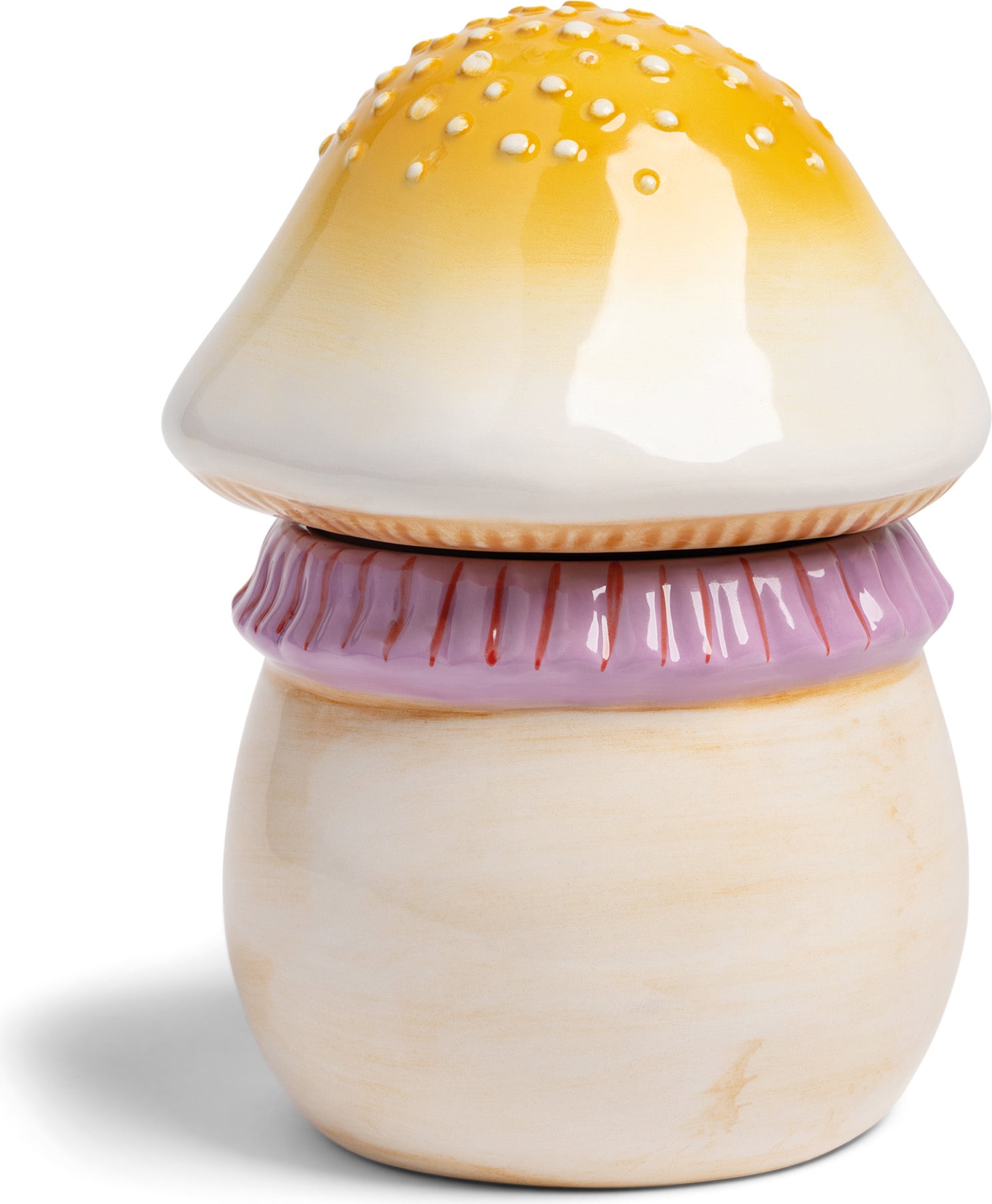 Pojemnik do przechowywania Magic Mushroom S
