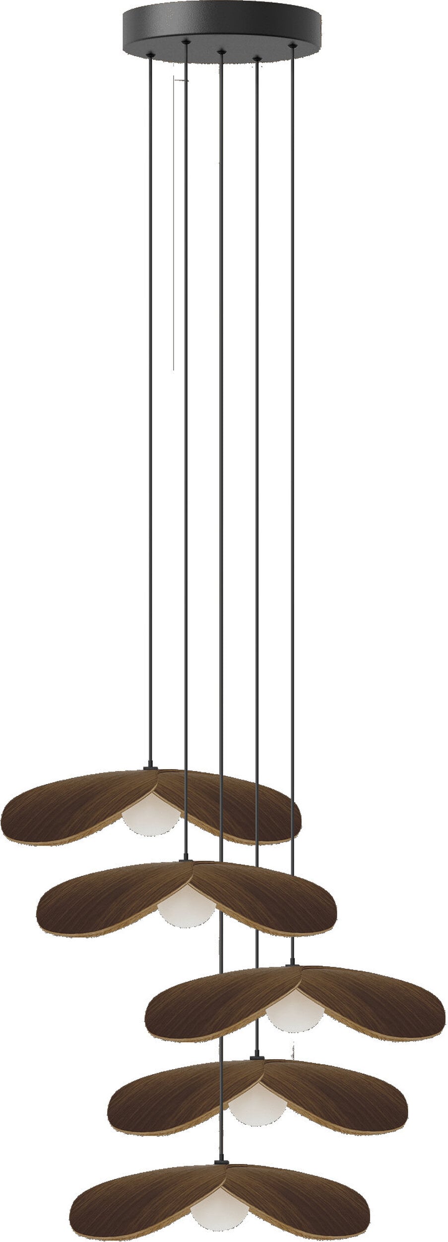Lampa wisząca Forget Me Not 28 cm ciemny dąb pięcioramienna z czarną rozetą