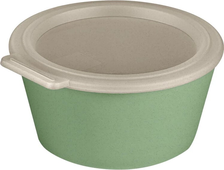 Pojemnik na lunch Move Box 700 ml zielony