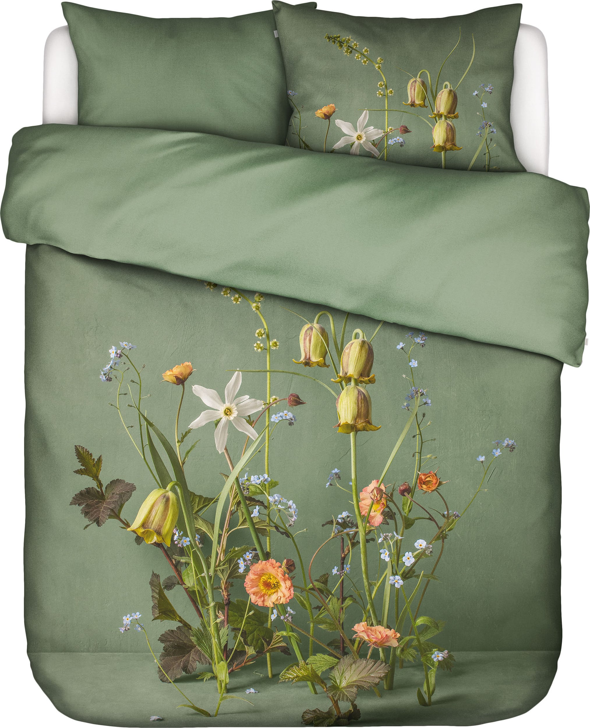 Pościel Ficaria 260 x 220 cm zielona z 2 poszewkami na poduszki 60 x 70 cm zapięcie flap