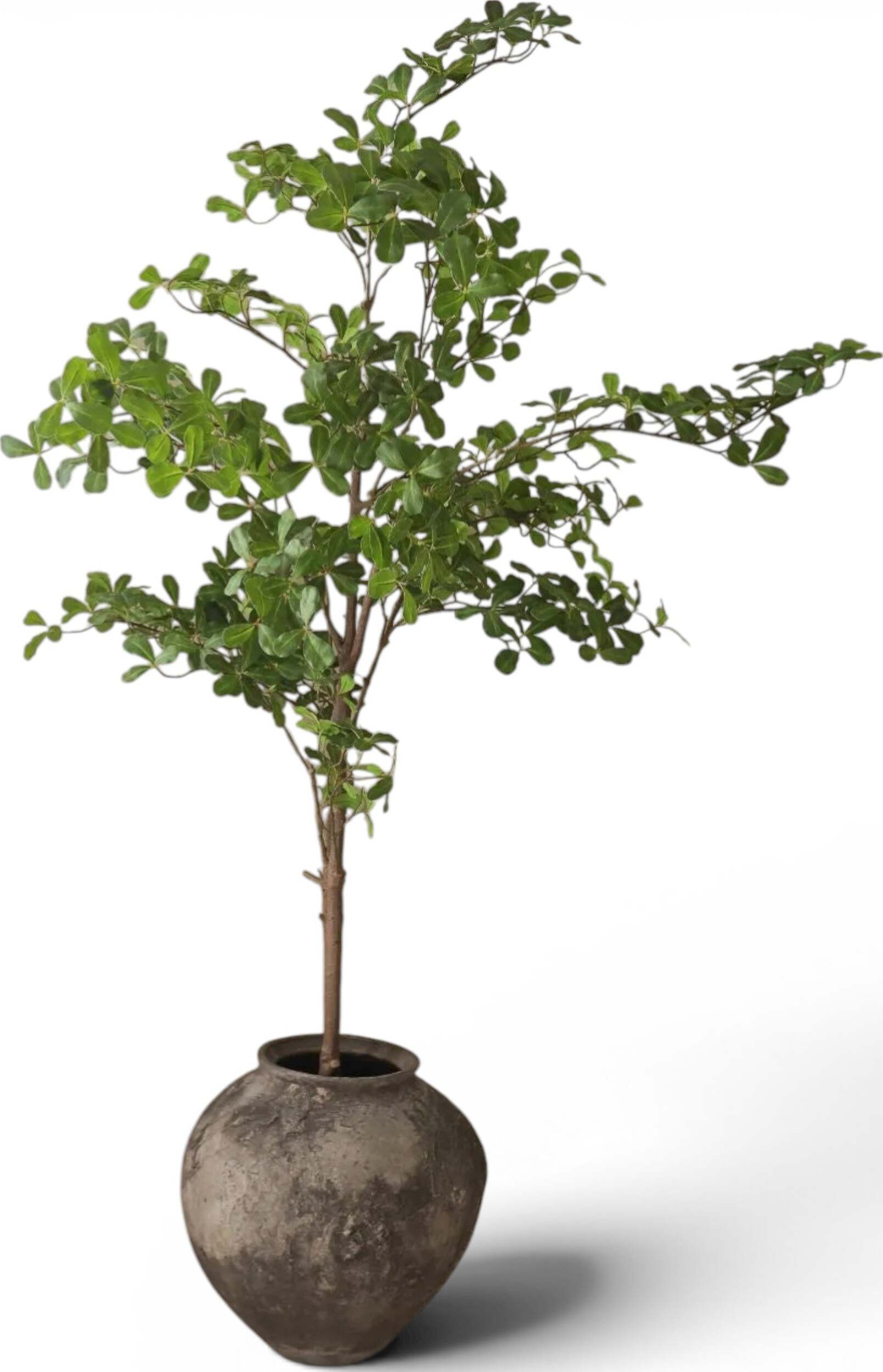 Drzewko sztuczne Botane migdałecznik 210 cm