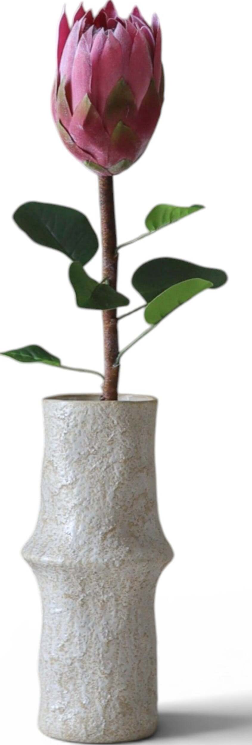 Kwiat sztuczny Botane protea 70 cm czerwona
