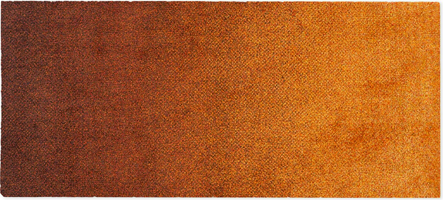 Wycieraczka Dis Rust 45 x 100 cm