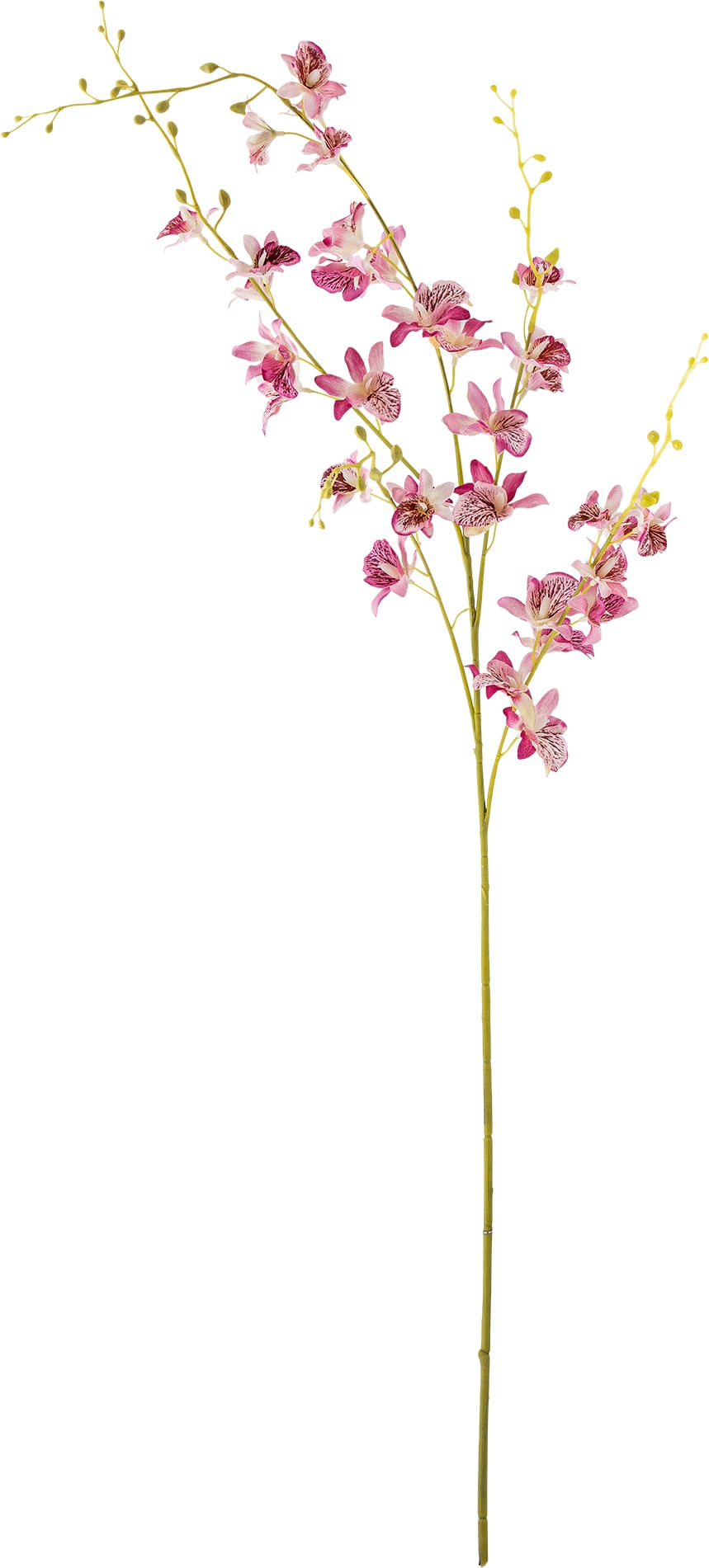 Kwiat sztuczny Bloomingville storczyk różowy