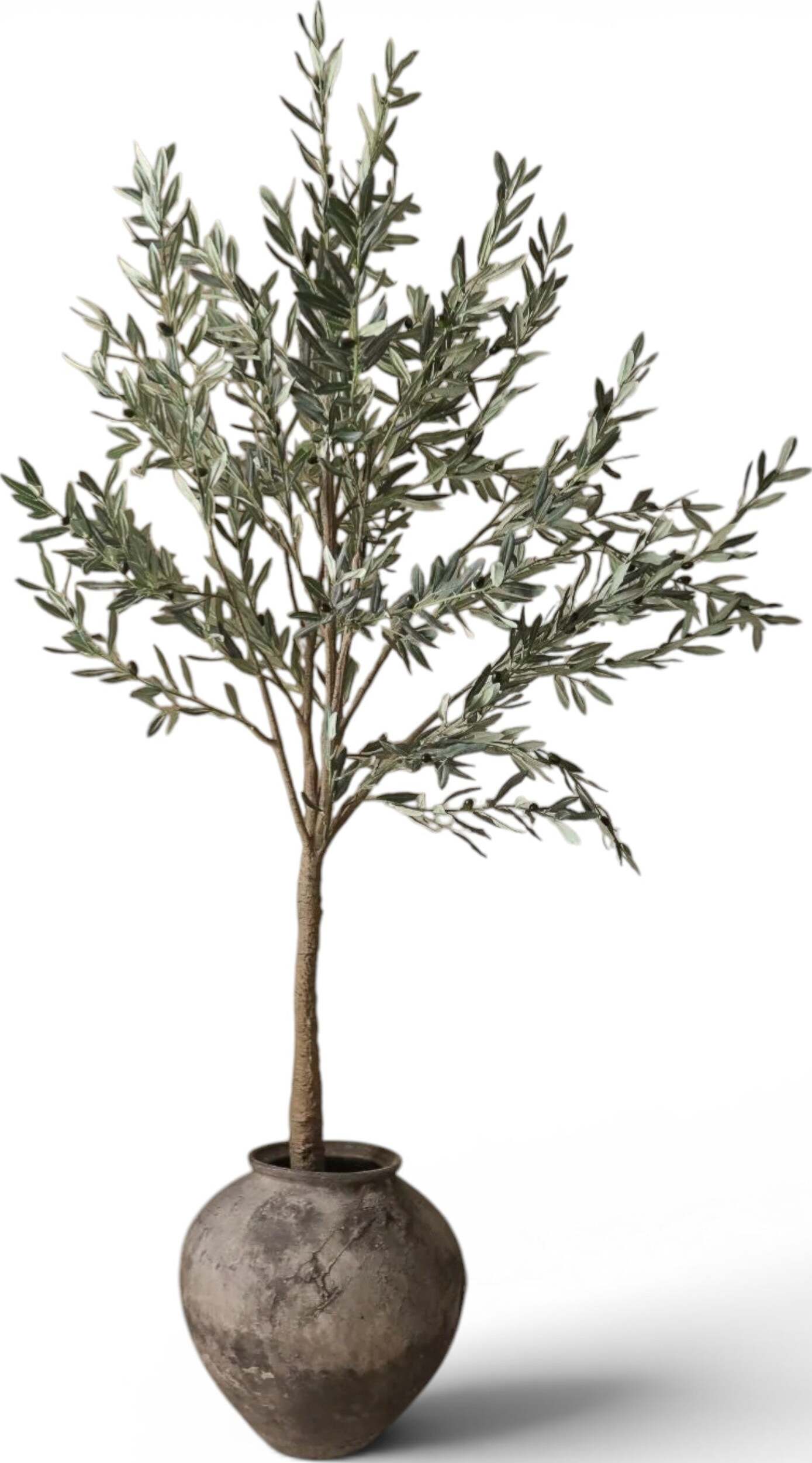 Drzewko sztuczne Botane oliwka 250 cm