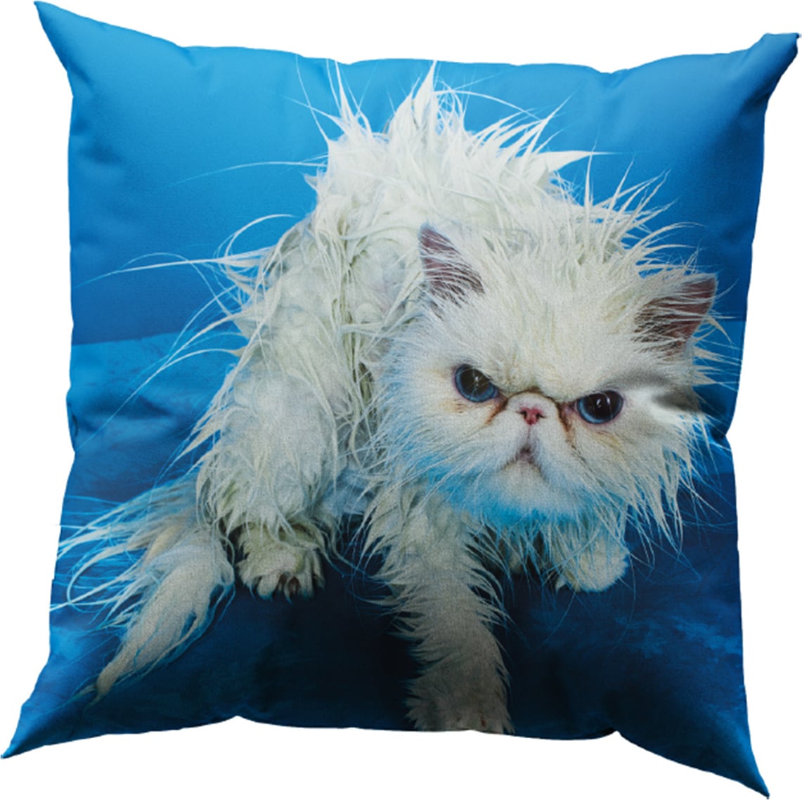 Poduszka dekoracyjna z wypełnieniem puchowym Toiletpaper Angry Cat 50 x 50 cm