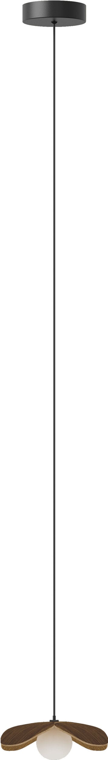 Lampa wisząca Forget Me Not 19 cm ciemny dąb z czarną rozetą