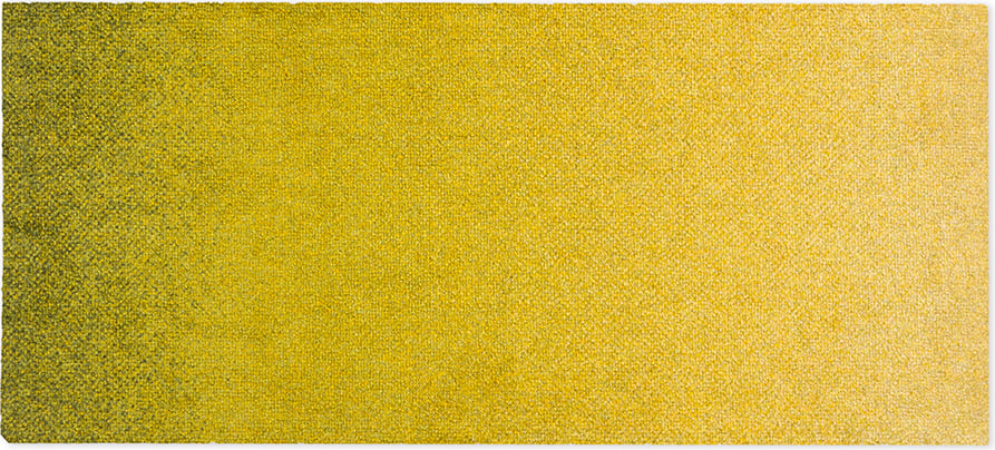 Wycieraczka Dis Moss 45 x 100 cm
