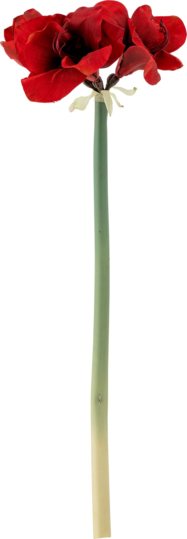 Gałązka sztuczna Amaryllis 74 cm czerwona