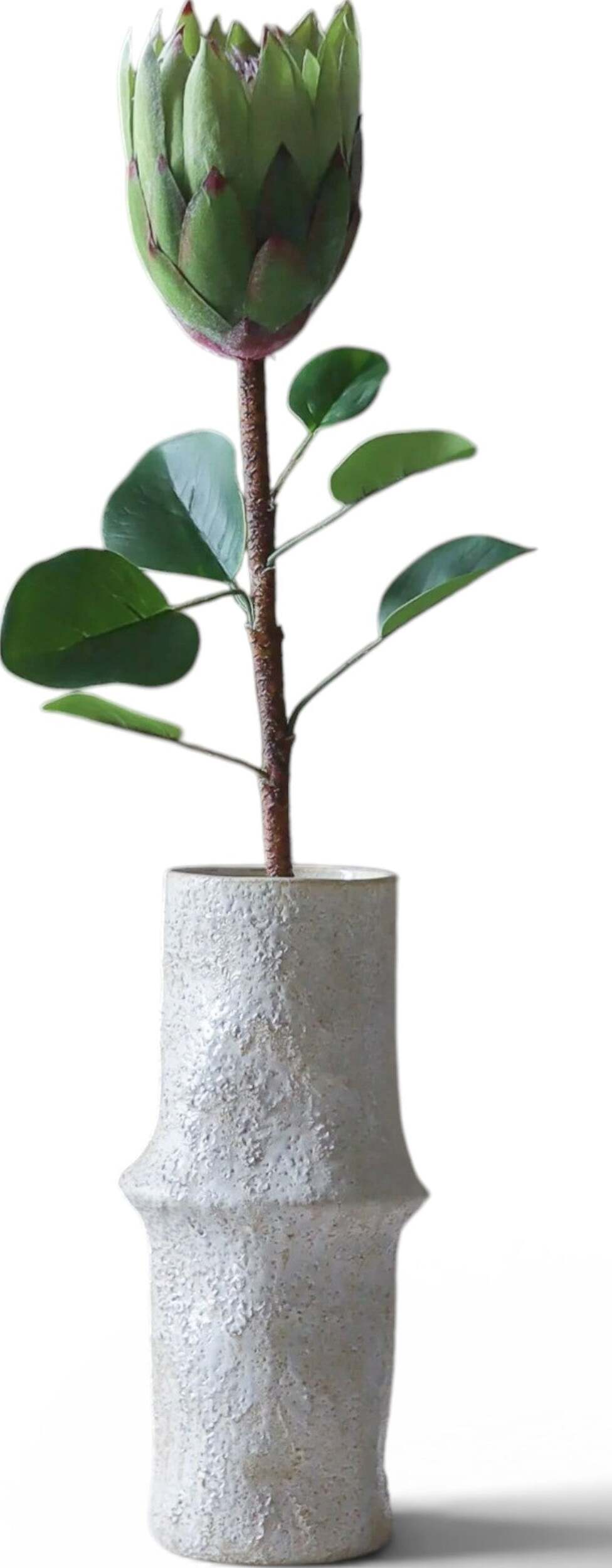 Kwiat sztuczny Botane protea 70 cm zielona