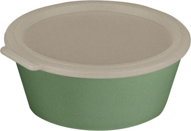 Pojemnik na lunch Move Box 1 3 l zielony